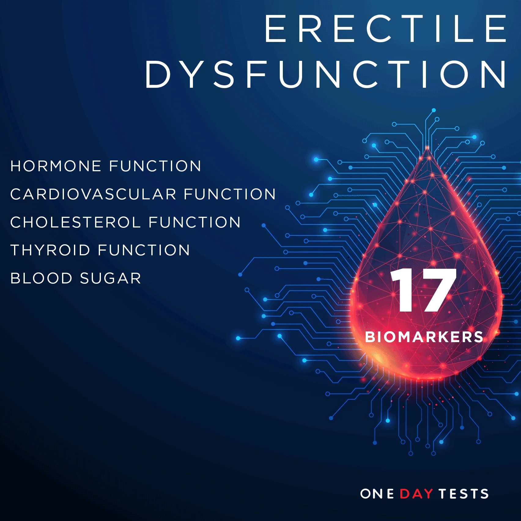 Blood Tests for Men